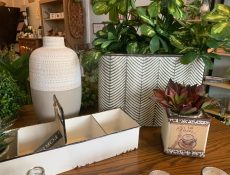 Vases, plants, and other decor items