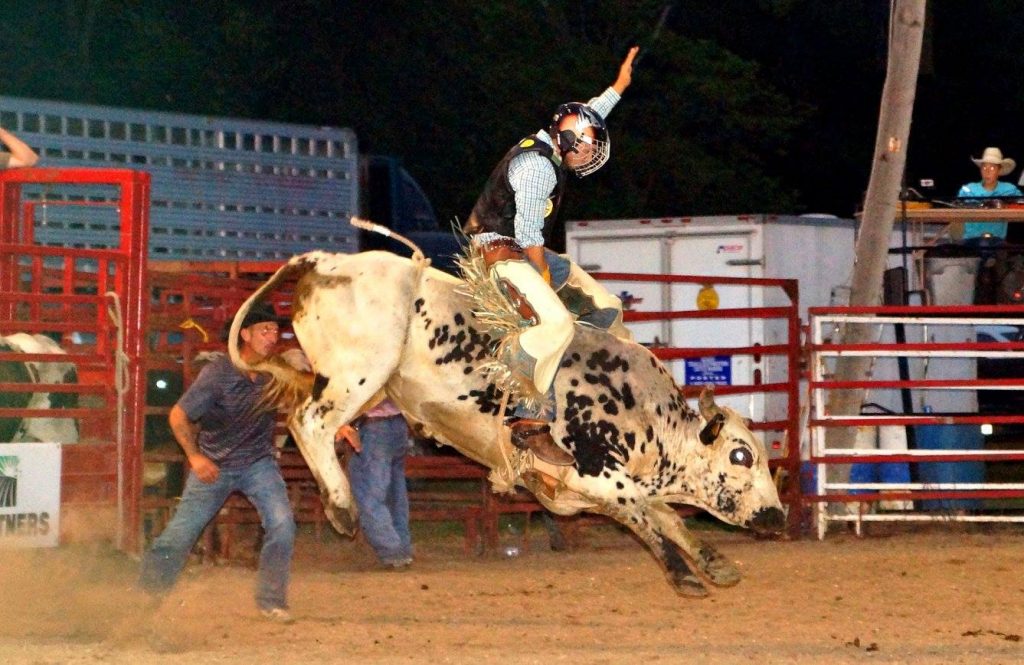 Man riding a bull