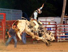 Man riding a bull