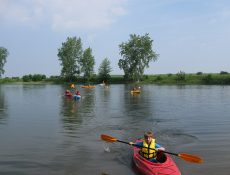 Kayakers on a lake