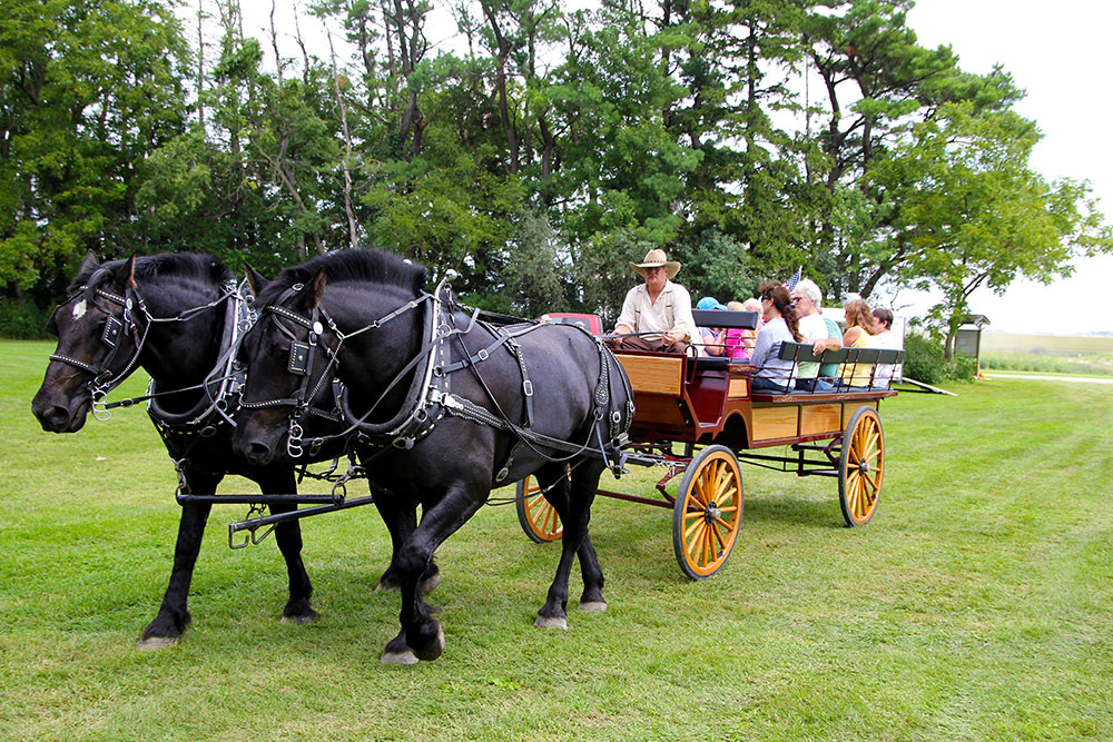 Group of people riding in a horse-drawn carriage