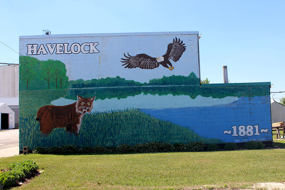 Havelock mural