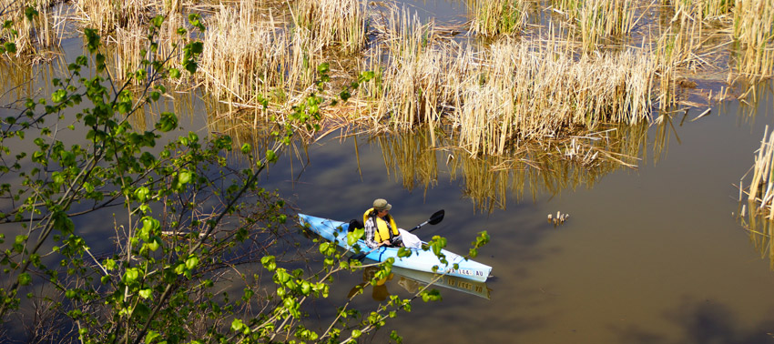 Man kayaking at Sunken Grove