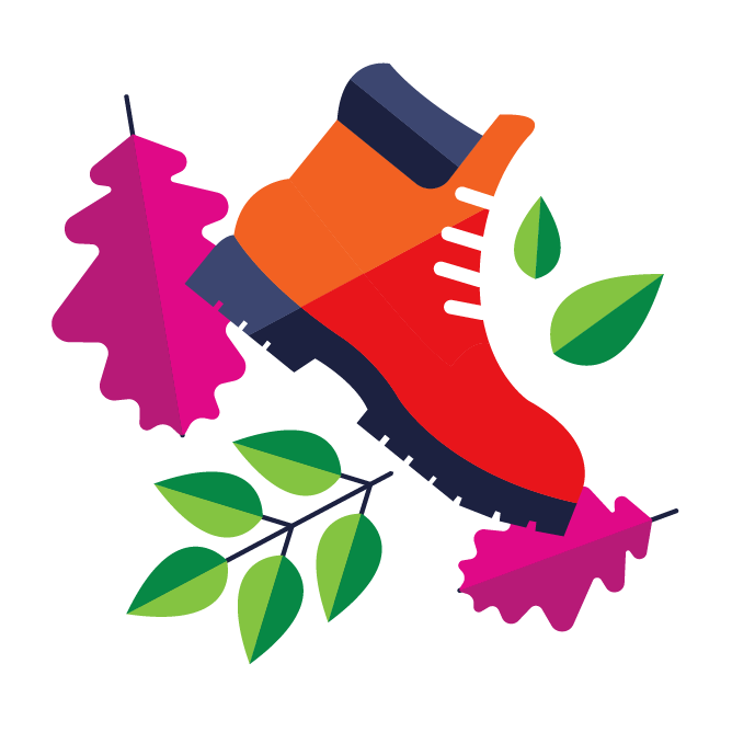 Illustration with hiking boot and leaves