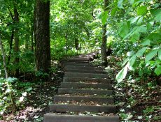 Trail steps at Whitetail Ridge