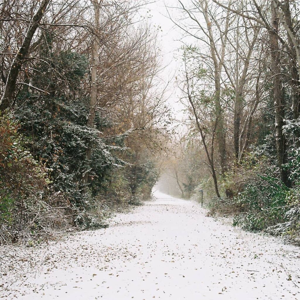 Snowy trail