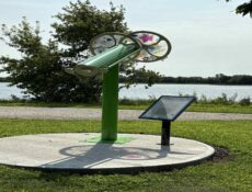 Little Clear Lake Scope